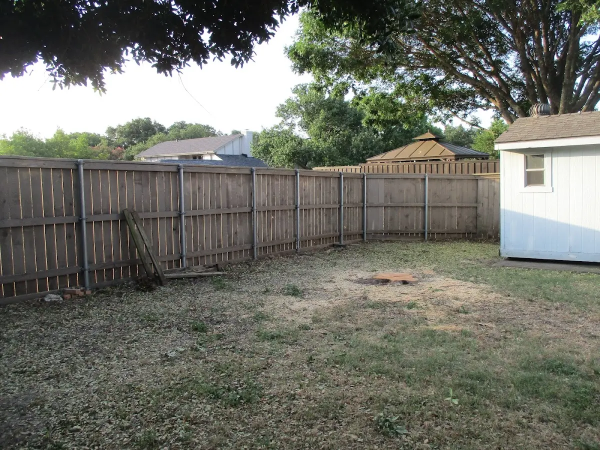 Cleared yard after professional tree removal in El Nido